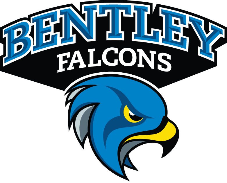 Bentley Falcons 2013-Pres Secondary Logo iron on transfers for fabric